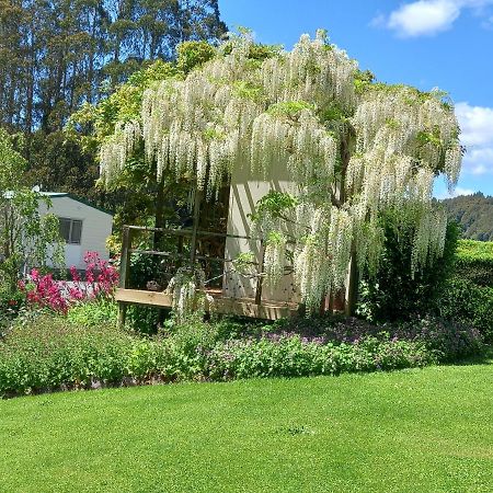 Aramatai Gardens Bed and Breakfast Te Kuiti Buitenkant foto